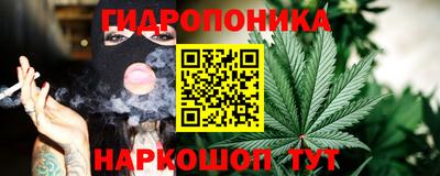 гашик Дубна