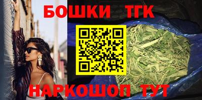гашик Дубна