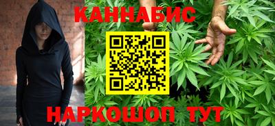 гашик Дубна