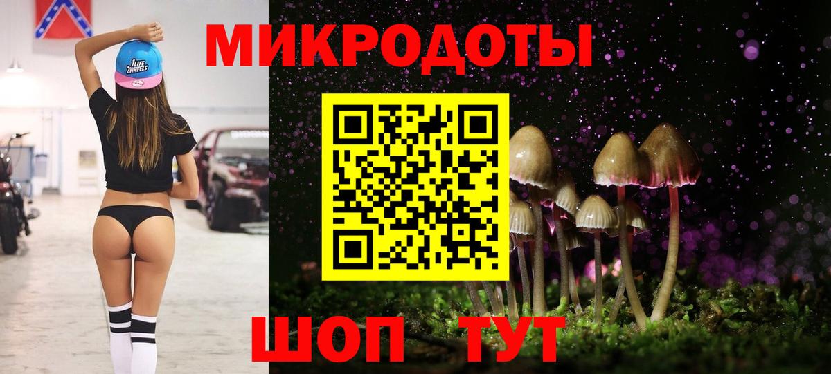 Псилоцибиновые грибы Cubensis Минусинск
